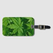 Maple in lente bagagelabel (Voorkant (horizontaal))