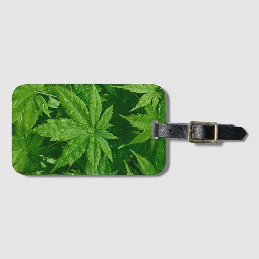 Maple in lente bagagelabel (Voorkant (horizontaal))