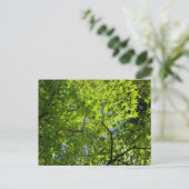 Maple in lente briefkaart (Staand voorkant)