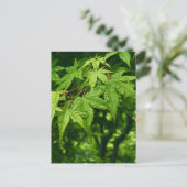 Maple in lente briefkaart (Staand voorkant)