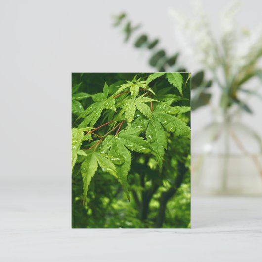 Maple in lente briefkaart (Staand voorkant)