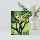 Maple in lente briefkaart (Staand voorkant)