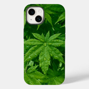 Maple in lente Case-Mate iPhone 14 hoesje