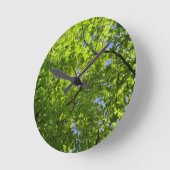 Maple in lente ronde klok (Hoek)