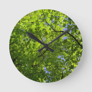 Maple in lente  ronde klok