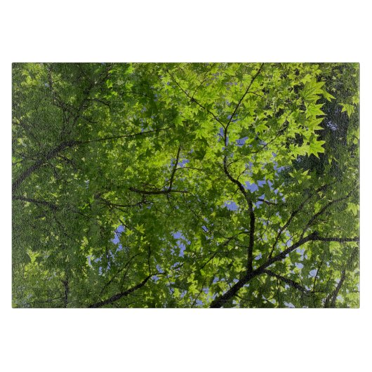 Maple in lente snijplank (Voorkant)