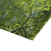 Maple in lente snijplank (Hoek)
