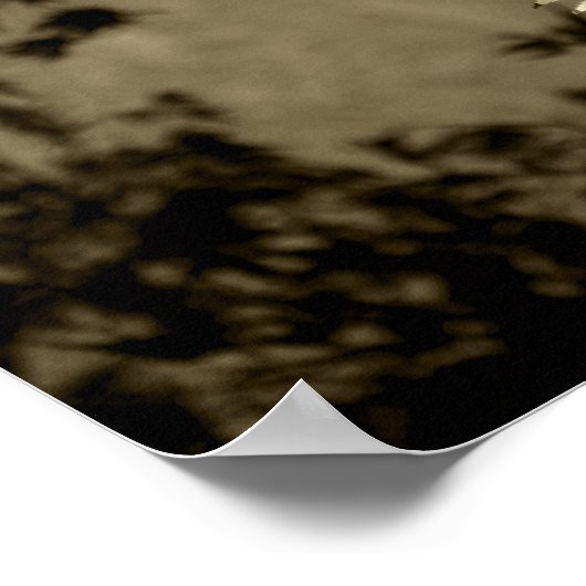 Maple in Sepia Poster (Hoek)