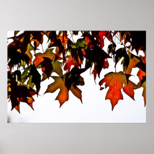 Maple laat de herfst Glow Poster afdrukken