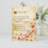 Maple laat  neerslagaccommodatie achter informatiekaartje (Staand voorkant)