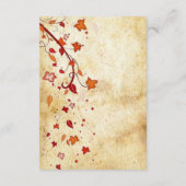 Maple laat  neerslagaccommodatie achter informatiekaartje (Achterkant)