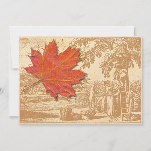 Maple Leaf and Old Harvest Engraving Kaart (Voorkant)