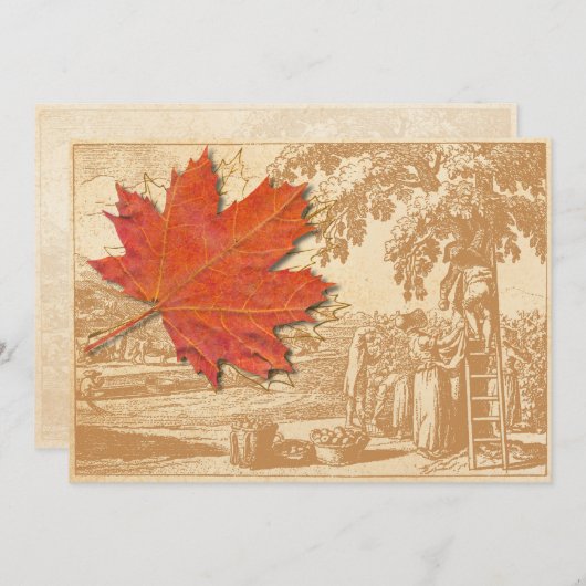 Maple Leaf and Old Harvest Engraving Kaart (Voorkant / Achterkant)