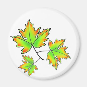 Maple Leaf, botanische, rode oranje bladeren Magneet