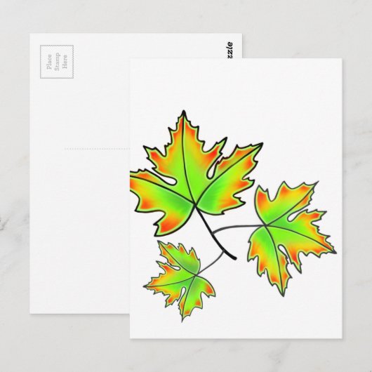 Maple Leaf Briefkaart (Voorkant / Achterkant)