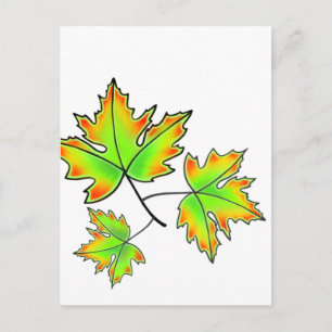 Maple Leaf Briefkaart