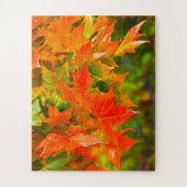 Maple Leaf Dance Legpuzzel (Verticaal)