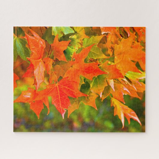 Maple Leaf Dance Legpuzzel (Horizontaal)