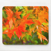 Maple Leaf Dance Muismat (Voorkant)