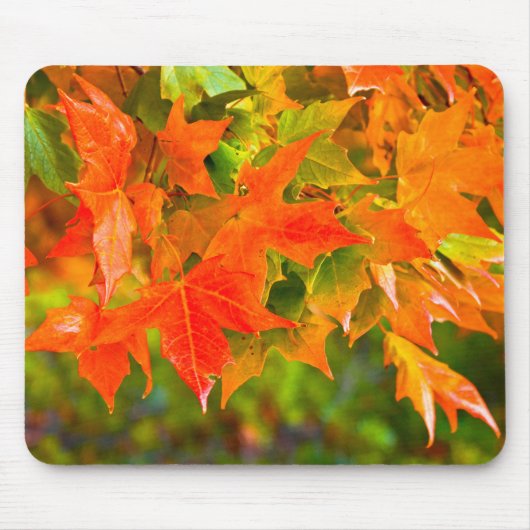 Maple Leaf Dance Muismat (Voorkant)