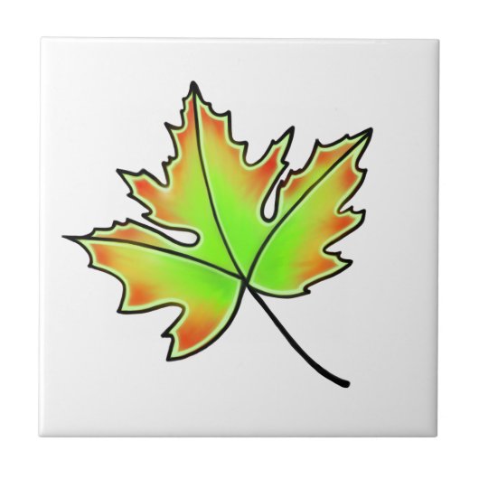 Maple Leaf, fall leaves, Autumn kleuren Tegeltje (Voorkant)
