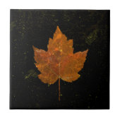 Maple Leaf Gold Yellow Black Country Herfst Textur Tegeltje (Voorkant)