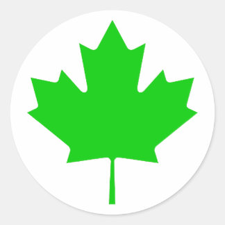 Maple Leaf Green Transp Het MUSEUM Zazzle Gifts Ronde Sticker