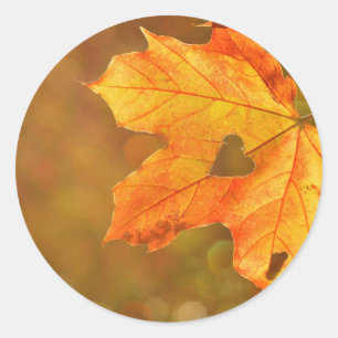 Maple Leaf Heart Ronde Sticker