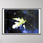 Maple Leaf I Poster (Voorkant)