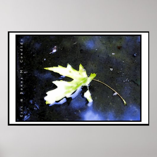 Maple Leaf I Poster (Voorkant)