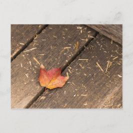 Maple Leaf minimalistische herfst foto Briefkaart