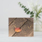 Maple Leaf minimalistische herfst foto Briefkaart (Staand voorkant)