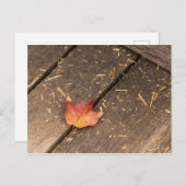 Maple Leaf minimalistische herfst foto Briefkaart (Voorkant / Achterkant)