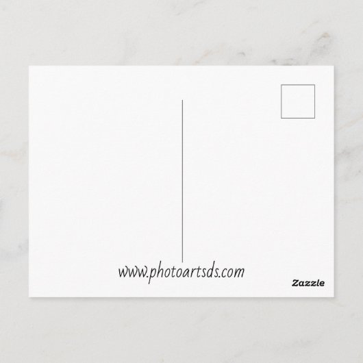 Maple Leaf minimalistische herfst foto Briefkaart (Achterkant)