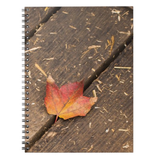 Maple Leaf minimalistische herfst foto Notitieboek (Voorkant)