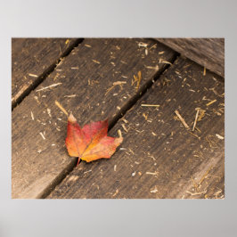 Maple Leaf minimalistische herfst foto Poster