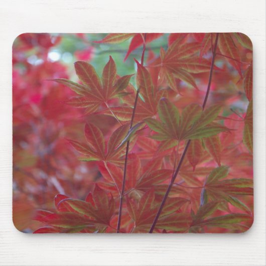 Maple Leaf Mousepad Muismat (Voorkant)