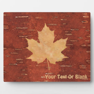 Maple Leaf on Inner Birch Bark Fotoplaat