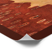 Maple Leaf on Inner Birch Bark Poster (Hoek)