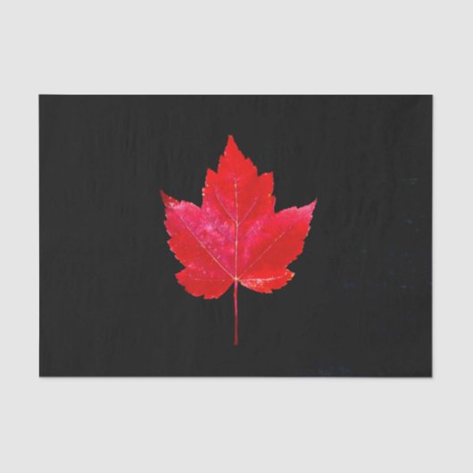 Maple Leaf Red Black Autumn Land Tissuepapier (Voorkant)