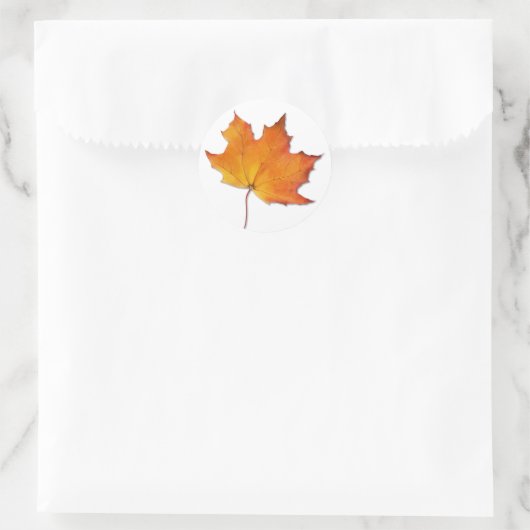 Maple Leaf Sticker (Tas)
