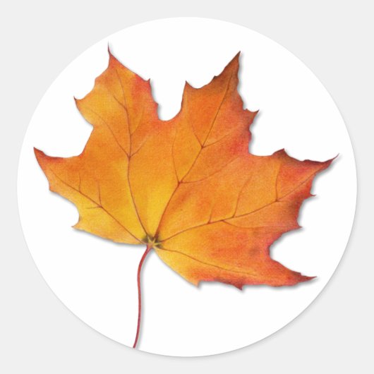 Maple Leaf Sticker (Voorkant)