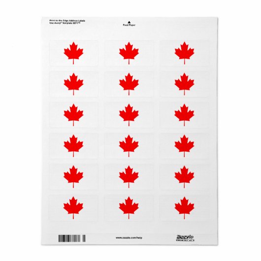 Maple Leaf Sticker Blad Vinyl Decal | Product van (Full Sheet)