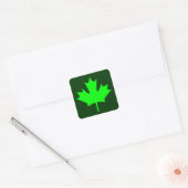 Maple Leaf - Stickers (Envelop)