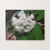 Maple Leaf Viburnum Legpuzzel (Horizontaal)