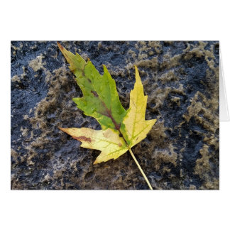 Maple Leaf, witte enveloppen inbegrepen