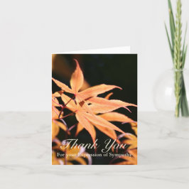 Maple Leaves 2 Sympathy Thank You Note Kaart