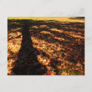 Maple Leaves Briefkaart