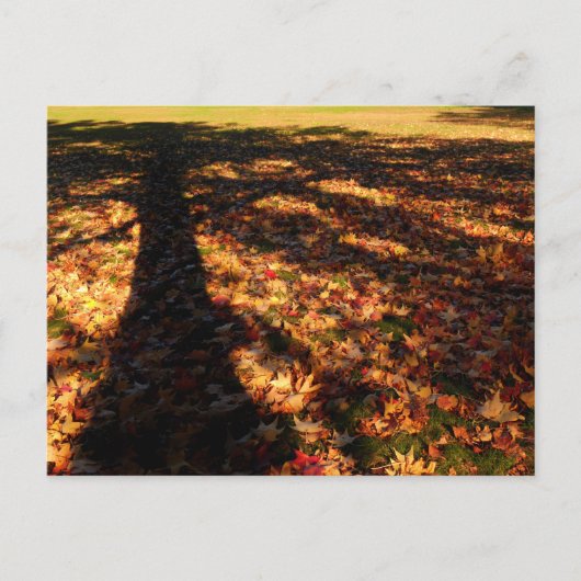 Maple Leaves Briefkaart (Voorkant)