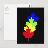 Maple Leaves - Canada Briefkaart (Voorkant / Achterkant)